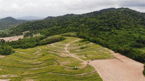 Drone shot aerial view scenic landscape of agriculture farm at ...