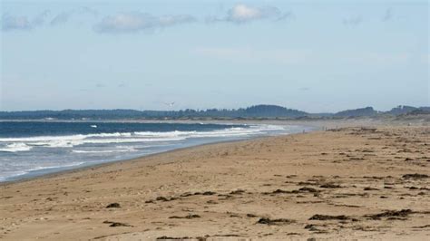 Newburyport Beach Added To List Of Mass. Beaches With High Bacteria ...