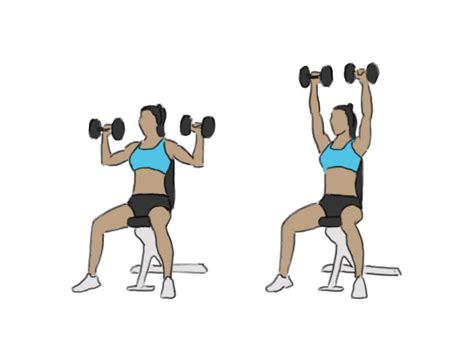 Seated dumbbell overhead shoulder press - GoFitnessPlan