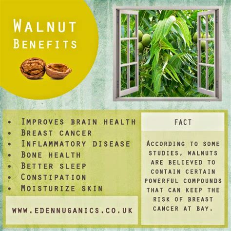 Eden Nuganics Blog: 10 Natural benefits of eating walnuts