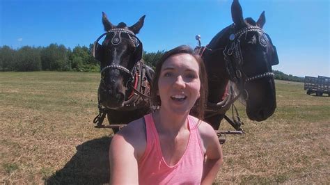 My Daughter Abby came to Rake Hay with the Percheron Horses! - YouTube