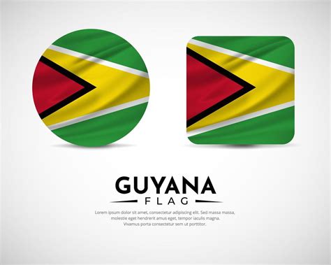 Collection of Guyana flag emblem icon. Guyana flag symbol icon vector ...