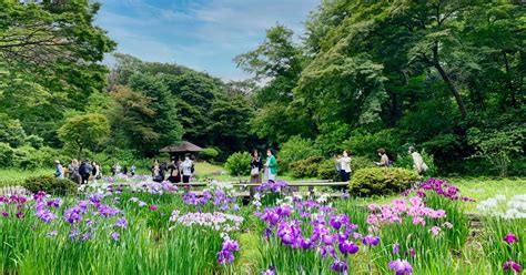 Meiji Shrine Inner Garden is a hidden paradise