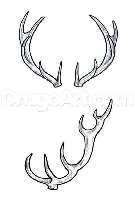 How to Draw Deer, Step by Step, forest animals, Animals, FREE Online Drawing Tutorial, Added by ...