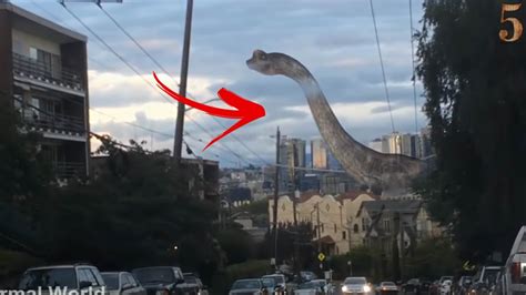 Top 5 Real Dinosaur Sightings Caught On Camera Avistamientos Captado ...