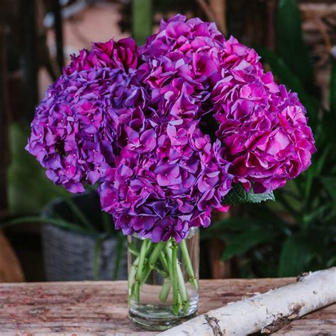 Hydrangea Lovers - Purple in Washington, DC | Le Printemps