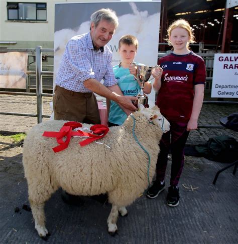 Galway Sheep Breeders Association