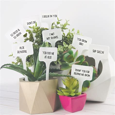 Plant Pun Signs | 10 Pack | Plant puns, Plants, Succulent puns