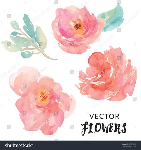 Hand Painted Watercolor Flower Vector Watercolor Stock Vector 269775782 ...