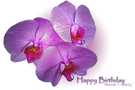 "Happy Birthday Orchids" Posters by Bonnie T. Barry | Redbubble