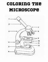 Microscope Coloring Page sketch template
