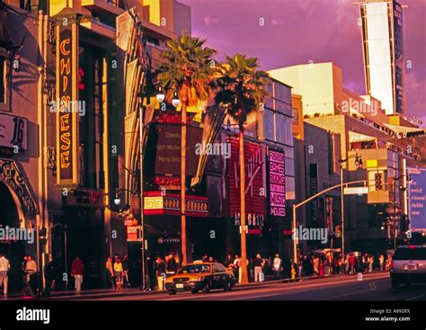 Famous Attractions: Things To Do On Hollywood Boulevard, 42% OFF