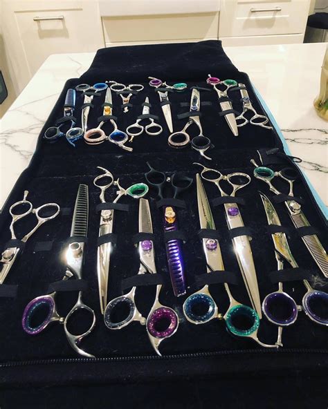 Best Dog Grooming Shears – Groom Your Dog with Ease!