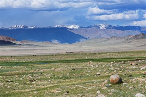 Mongolian Landscape with Mountain Steppe Stock Image - Image of arid, mongolia: 194281063