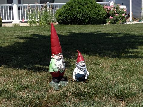 Real Gnomes Sightings