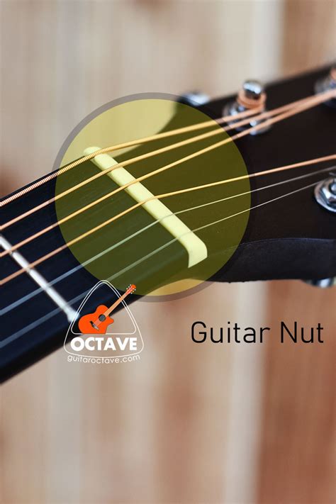 Nut for Acoustic Guitar - 1 Piece | OCTAVE Guitar Shop BD