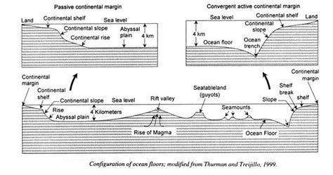 4 Types Of Ocean Floors | Viewfloor.co