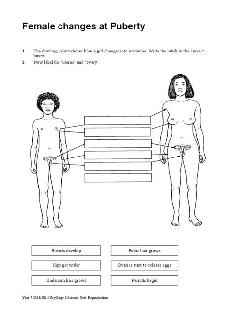 Changes in A Girl at PUBERTY | PDF