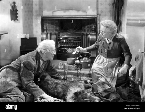 LASSIE COME HOME -1943 Stock Photo - Alamy