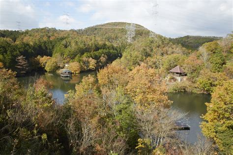 Taisho Pond Green Park | Sightseeing Spots | Another Kyoto Official ...