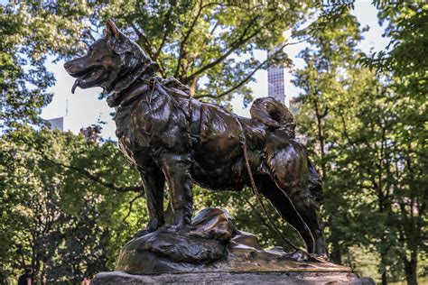 Statue Of Balto In Central Park | ubicaciondepersonas.cdmx.gob.mx