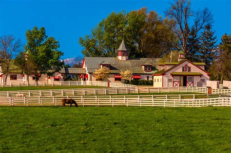 Calumet Farm (thoroughbred horse farm), Lexington, Kentucky USA ...