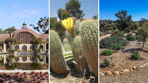 10 Botanical Gardens in San Diego You Will Want To Visit - SoCal Field ...