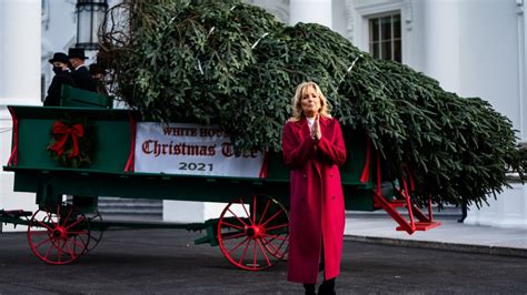 First lady Jill Biden welcomes White House Christmas tree