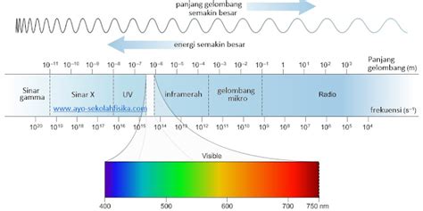 Spektrum gelombang elektromagnetik - Biology Page