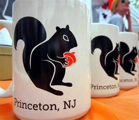 PRINCETON DAILY PHOTO: Black squirrel