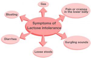 What Is Lactose Intolerance? What Are Its Causes, Symptoms And Signs?