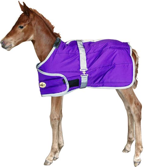 Adjustable Foal Stable Horse Blanket Brookside - Stable | Blankets Sheets | Supplies Tack | Equine