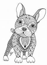 Complicated Animal Coloring Pages At GetColoringscom  Free Printable sketch template