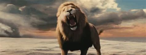 Narnia Aslan GIF - Narnia Aslan Lion King - ຄົ້ນພົບ ແລະ ແບ່ງປັນ GIF
