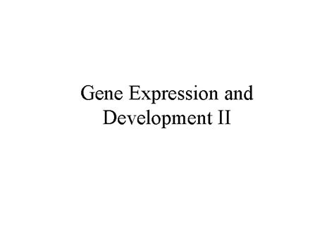 Gene Expression and Development II Final Exam Sunday