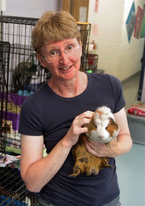 Brockton animal shelter grapples with guinea pig surplus