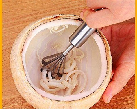 Amazon.com: Alwaysuc Stainless Steel Coconut Meat Removal Knife, Multi-Purpose Stainless steel ...