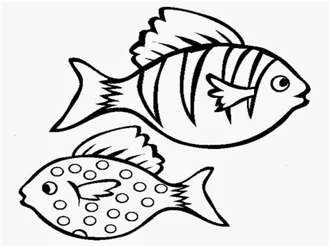 Fish Drawing For Colouring at GetDrawings | Free download