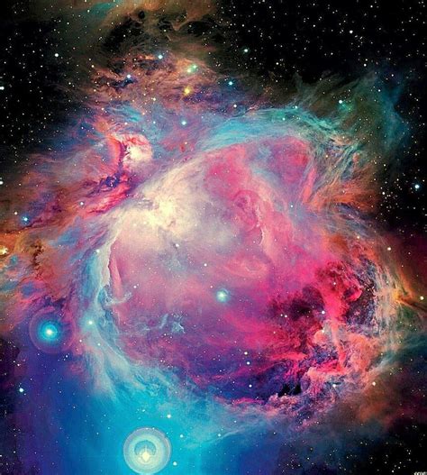 Orion Nebula | Space pictures, Orion nebula, Space and astronomy