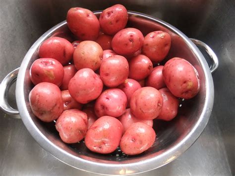 Emily's Kitchen: Red Skin Potato Salad