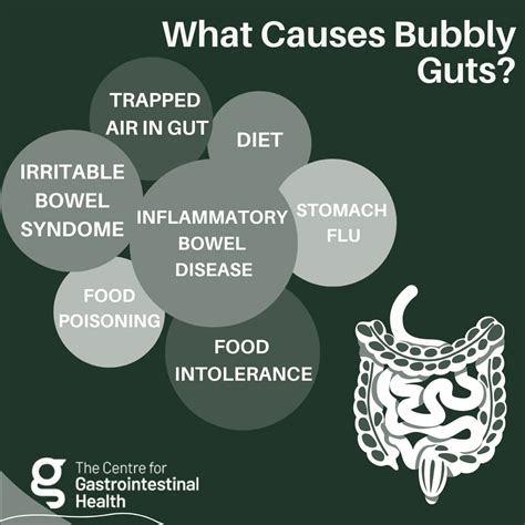 A Guide to Bubbly Guts | Centre for Gastrointestinal Health