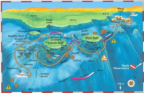 Dive map of Sharks Reef and Yolanda Reef | Things I've seen when diving | Pinterest