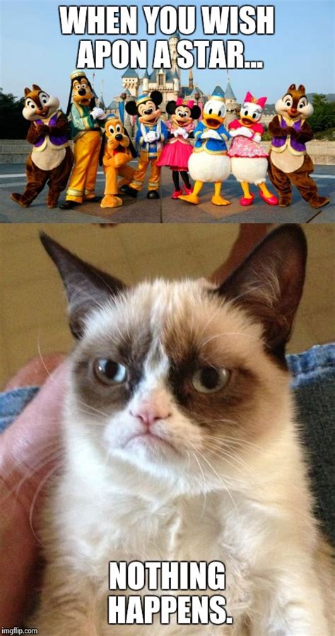 Grumpy cat at Disney world - Imgflip