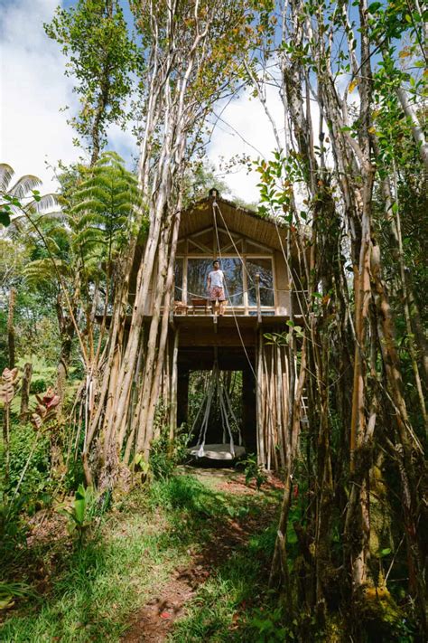 Wake Up In A Tropical Treehouse In Hawaii: The Best Airbnb In Hawaii ...