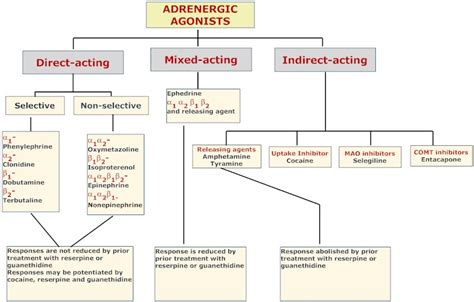 Veterinary Neuropharmacology: Classification of adrenergic agonist