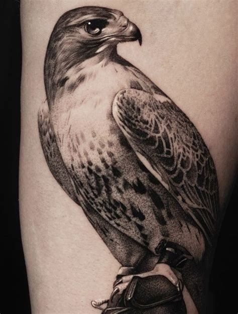 Hawk tattoo meaning and symbolism