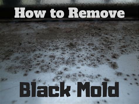 The Basics of Black Mold Removal - HubPages