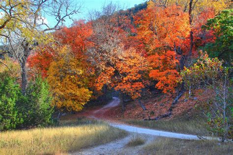 3 Places to Find Beautiful Fall Foliage In, Around Austin, Texas