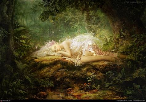 HD wallpaper: fairy sleeping on piece of wood wallpaper, Fantasy, tree ...