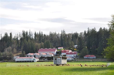 Carnation Farms - Eat Local First